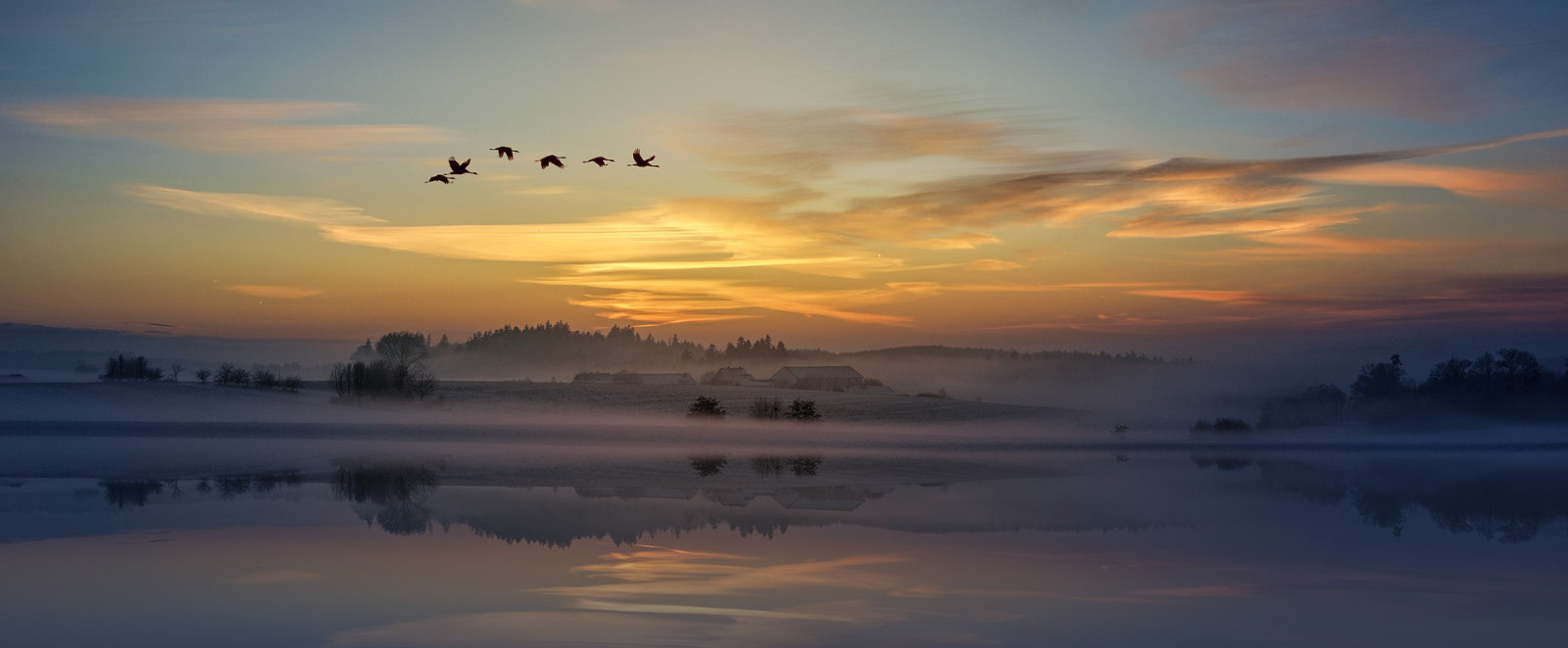 Sonnenuntergang mit Vogelschwarm